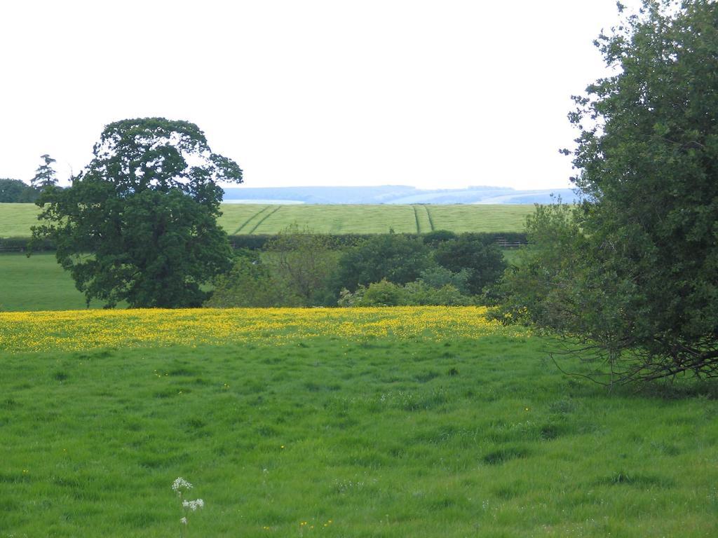 High Rigg B&B Helmsley Eksteriør billede